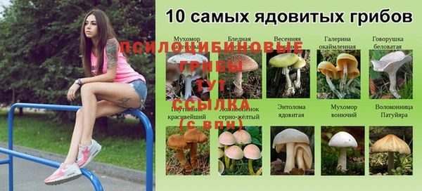 тгк Баксан