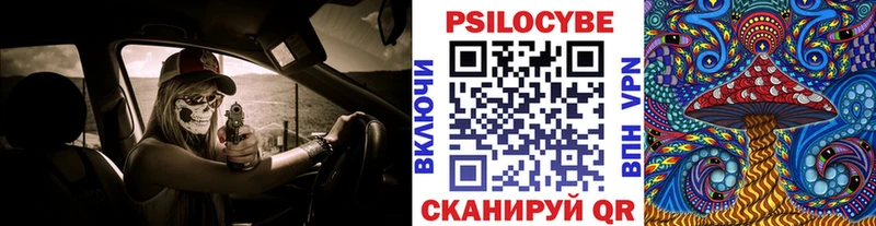 Купить где  Гудермес  Галлюциногенные грибы Magic Shrooms 