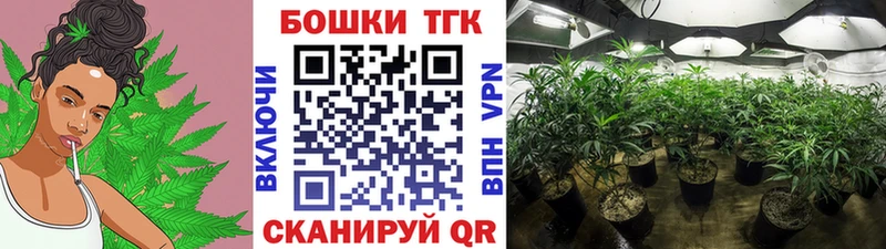 Купить где Гудермес Каннабис ГИДРОПОН